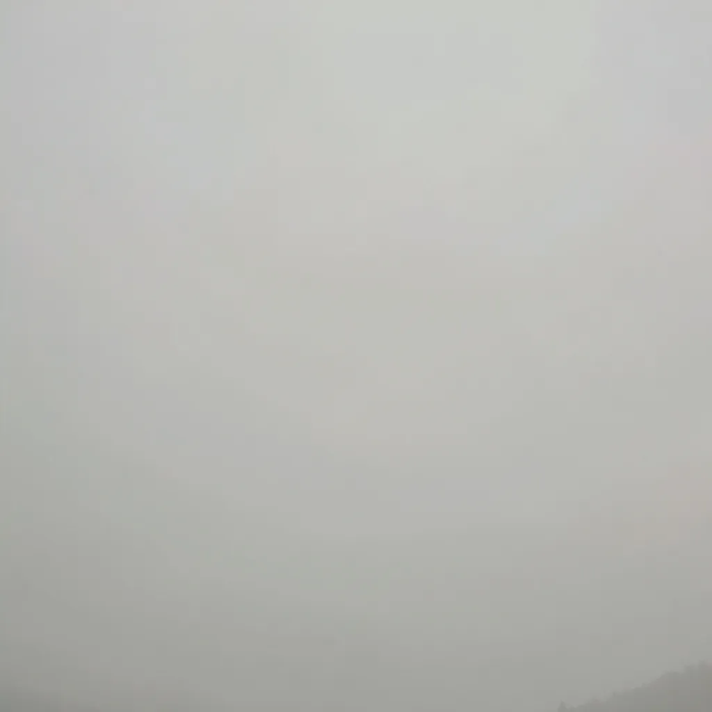 Diffuse overcast soft lighting